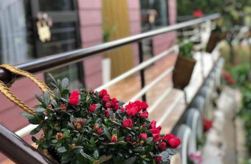 Phuong Bed & Breakfast | 25 m² Bed and breakfast ∙ 6 guests