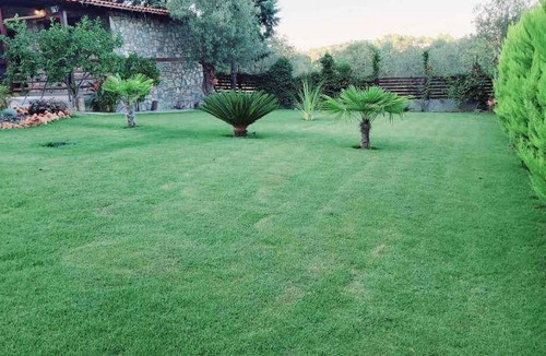 Ormos Panagias Apartment | 50 m² Apartment ∙ 1 bedroom ∙ 7 guests