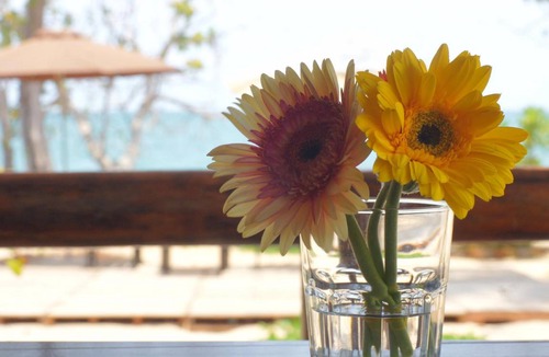 Cua Can Village Bed & Breakfast | 60 m² Bed and breakfast ∙ 6 guests