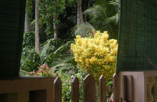 Anse Boileau House | 80 m² House ∙ 3 bedrooms ∙ 6 guests
