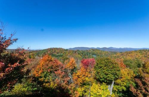 Boone House | A Bears Eye View
