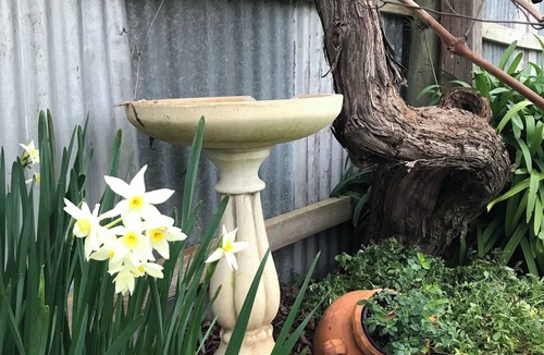 Penola Cottage | Air's Cottage Penola: Colonial stone cottage, WiFi fire AC Spa BBQ dog friendly