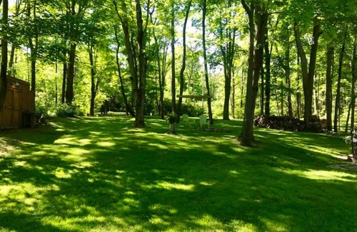 Naples House | Amazing cabin in the Finger Lakes! Hiking, wineries, restaurants.etc! Pets ok