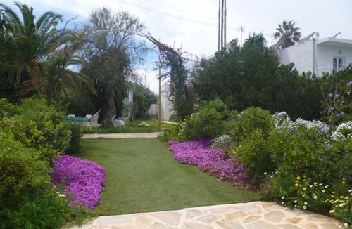 Santa Eulalia del Rio Apartment | Apartments in front of the sea Cala Martina Ibiza