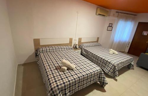 San Francisco-Ribera Hostel | Arc House Ribera Only Adults