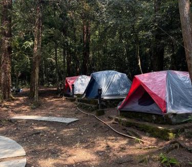 Phu Loc Other | BÃI CẮM TRẠI THÔNG NÀNG VQG BẠCH MÃ by CONNECT TRAVEL