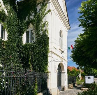 Mad House | Barta Pince Rákóczi Lakosztályok