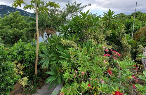 Peterborg House | BATTMAN'S BEACH HOUSE. Walk to the Beach, See the Views and The Reviews!