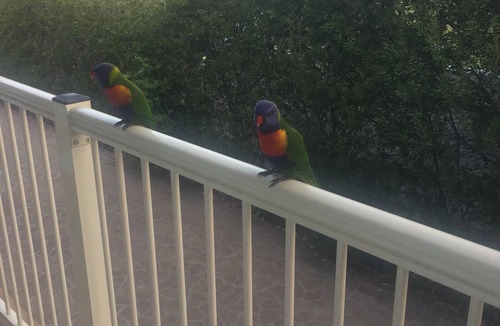 Mollymook Beach Apartment | Beach Access Winter Late Check‑Out 12 pm