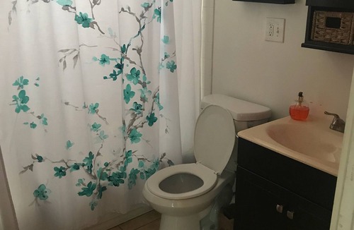 North Buffalo House | Beautiful north Buffalo home steps from Hertel ave and Delaware Park