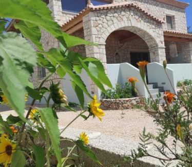 Lithakia Apartment | Black Pearl Apartment Lithakia Zakynthos