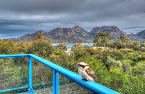 Coles Bay House | Blue Gum Retreat - Freycinet Holiday Houses