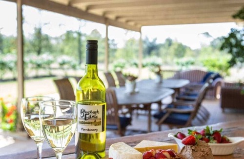 Lovedale House | Bluebush Estate - Country House
