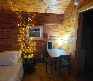 Waterloo Ski Chalet | Canal Cabin #4