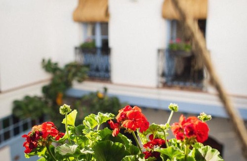 San Francisco-Ribera Apartment | CASA SIRFANTAS