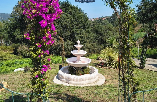 Vigo Apartment | Charming apartment in Vigo with views of the valley (pet friendly)