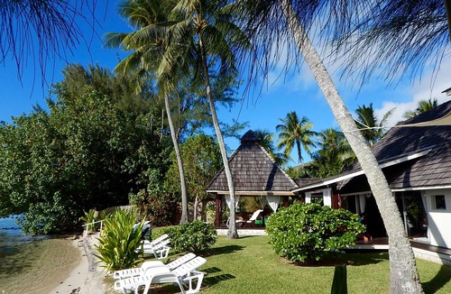 Maharepa House | Comfort Suite, garden side, 1 bedroom, living room, kitchen, private bathroom
