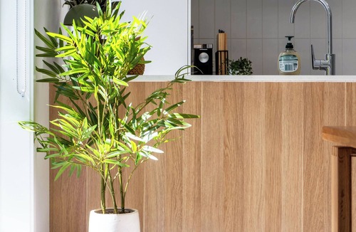 Logan Reserve House | Contemporary 4BR Logan Reserve Home with Parking & Open Living