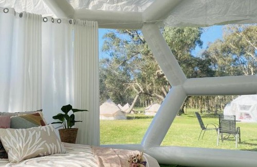 Comaum Other | Coonawarra Hampton Bubble 3