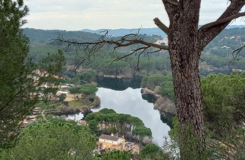 Las Jaras House | El Madroño de la Encantada