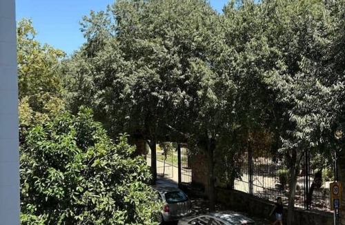 Ciudad Jardin Apartment | Elegance next to the Rectorate