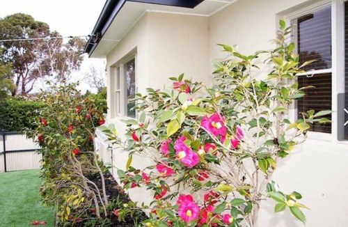 Balwyn House | Elegant Balwyn Paradise - Spacious Family House in Melbourne's Leafy East