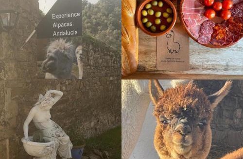 Montoro House | Experience Alpacas in Andalucia