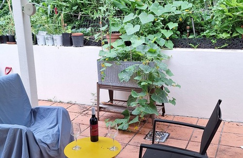 Robina House | Family Special Convenient & Chilled in the Heart of the Gold Coast