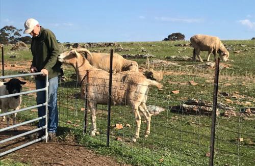 Eppalock House | Gilgraves Vineyard Farmstay