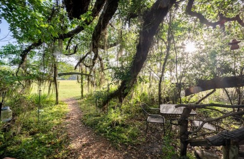 Live Oak Other | Glamping Treehouse on Farm, Unique Experience!