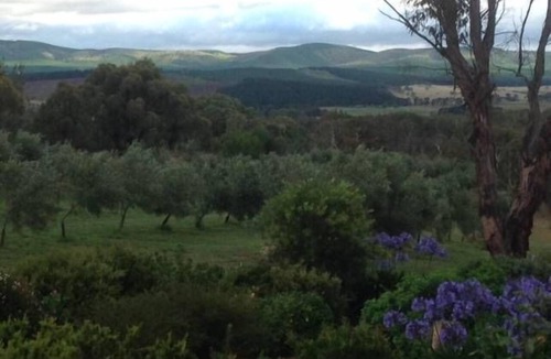 Carwoola Cottage | Guy's Cross Farm Cottage