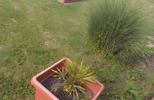 Balatonbereny House | Holiday home with air conditioning and massage shower