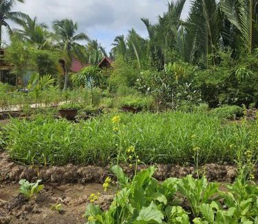 Mo Cay Nam Cabin | Homestay Xóm Quê