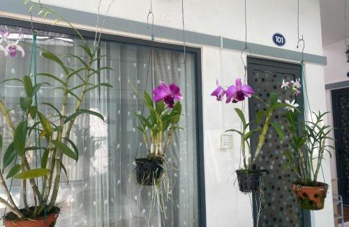 Ong Lang Hotel | Hostel Bao Khanh at Ong Lang, Phu Quoc