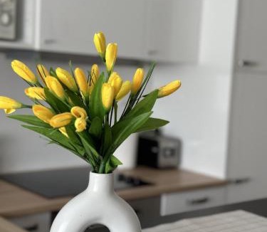Ujlipotvaros Apartment | IP TWENTY RESIDENCE