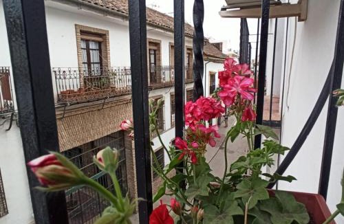 San Francisco-Ribera Apartment | La Antigua Posada 33