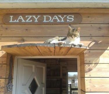 Debrecen House | Lazy Days