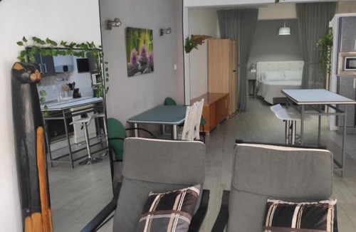 Talavera de la Reina Apartment | Loft CENTRO Con Parking privado GRATIS