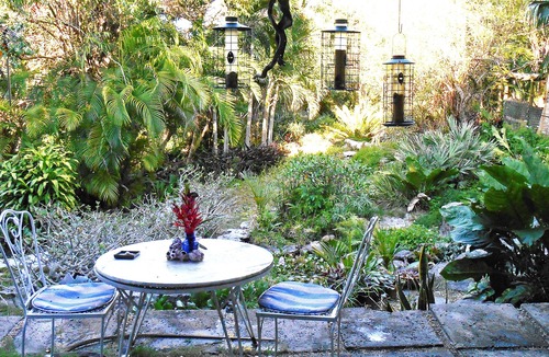Nassau House | Luxury Home with Pool on 2 Acres of Virgin Land