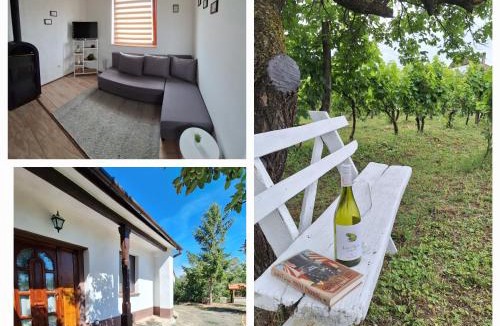 Vardomb House | Mi Kis Lakunk - szállás&dézsa a szőlőhegyen
