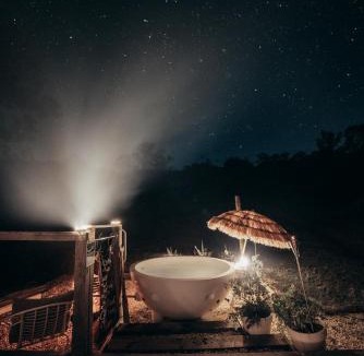 Toms Creek Other | Nature Domes