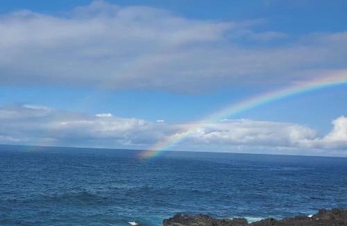 Kapoho House | Oceanfront studio see whales and dolphins
