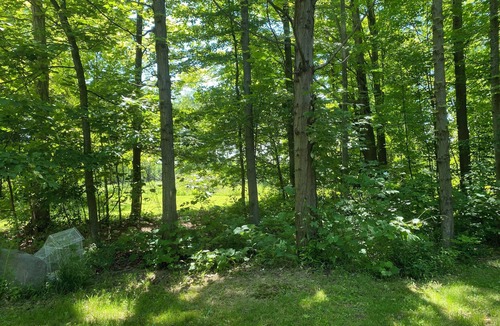 Town of Hanover House | Quiet, country 2-bedroom mobile home with WiFi, AC in welcoming Forestville