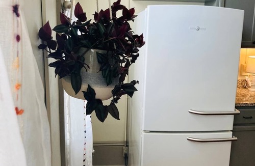 Erwin Apartment | Renovated Historic Apartment with charming details