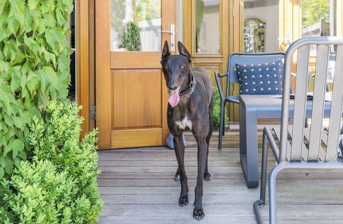 Kyneton House | Rochville | Stylish Dog Friendly Accommodation walking distance to Piper St