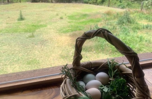 Cooran Cottage | Rosecliffe Tree Tops Cooran