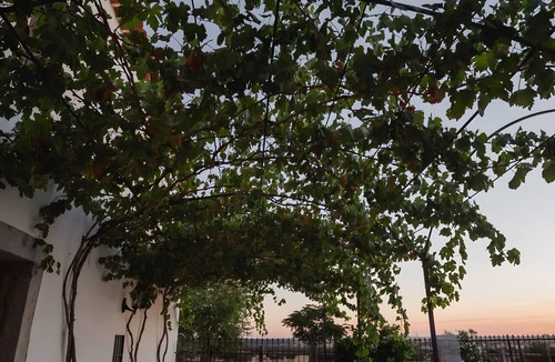 Pedroche House | Rural Agrotourism on 200 Hectares of Dehesa at La Panadera Superior Country House