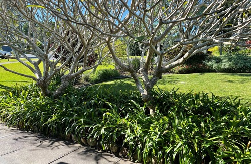 Sawtell House | Sawtell Luxury Waterfront Home