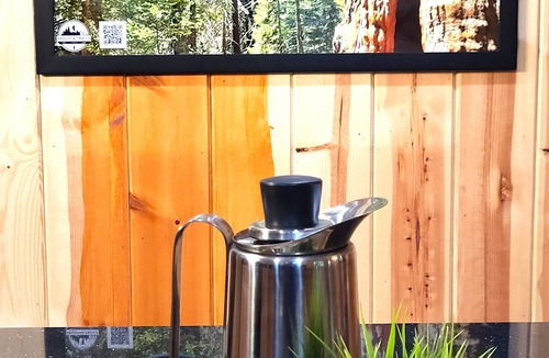 Camp Nelson Cabin | Sequoia Trails, Ancient Trees, Mountain Adventure, and Air Conditioning