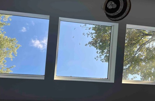 Waterloo Apartment | Single Bachelor unit en-suite in Waterloon
